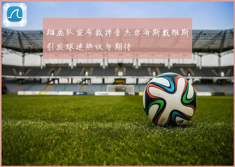 雄鹿队宣布裁掉奈杰尔海斯戴维斯引发球迷热议与期待